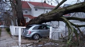 Assurance habitation : les garanties de base (catastrophe naturelle, tempête, grêle ,neige)