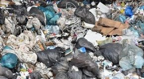 Tri et recyclage des déchets : des résultats insuffisants faute de sanctions dissuasives
