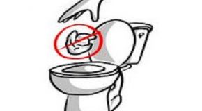 Lingettes désinfectantes : à jeter dans la poubelle, pas dans les toilettes !
