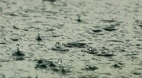 INFOLYS : découvrez pourquoi l’eau de pluie est importante