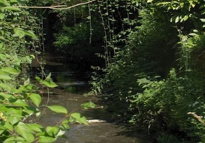 INFOLYS : Le grand Nocq, un petit ruisseau devenu une grande rivière.