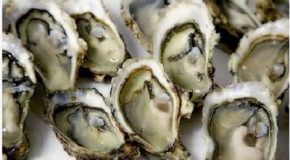 Fiches pratiques DGCCRF : huîtres, comment les choisir et les  conserver