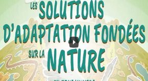 INFOLYS : les solutions fondées sur la Nature