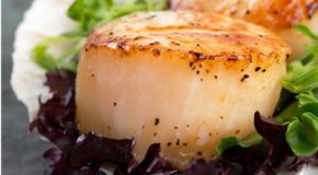 Fiches pratiques DGCCRF : coquilles St Jacques