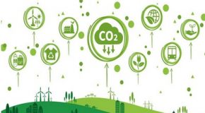 Consommation et environnement : comment réduire notre impact pas à pas
