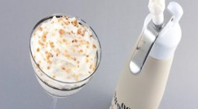 Fiches pratiques DGCCRF : siphons culinaires