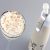 Fiches pratiques DGCCRF : siphons culinaires