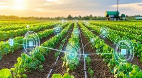 Qualité de l’air  : une nouvelle carte interactive pour visualiser le taux de pesticides dans l’air