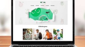 Arnaque à la vente de vélo : derrière Velogreen.fr, un faux site qui fait de vraies victimes